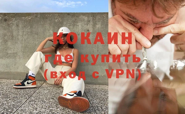 ешки Вяземский