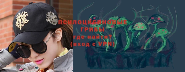 ешки Вяземский