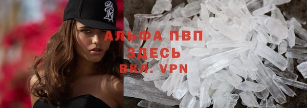 ешки Вяземский