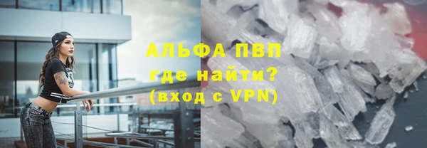 ешки Вяземский