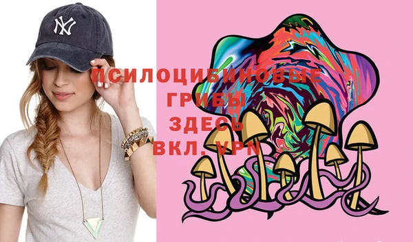 ГАЛЛЮЦИНОГЕННЫЕ ГРИБЫ Вязьма