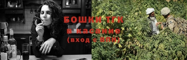 ешки Вяземский