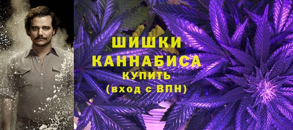 ешки Вяземский