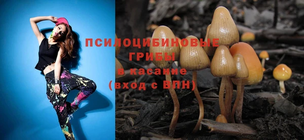 ГАЛЛЮЦИНОГЕННЫЕ ГРИБЫ Вязьма